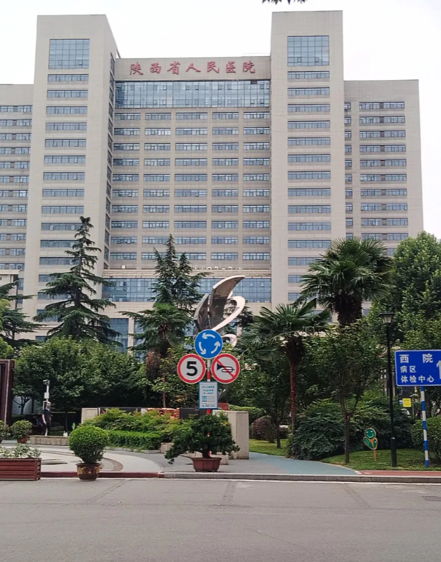 安顺找人代替抽血西安体检服务-第1张图片-代解忧