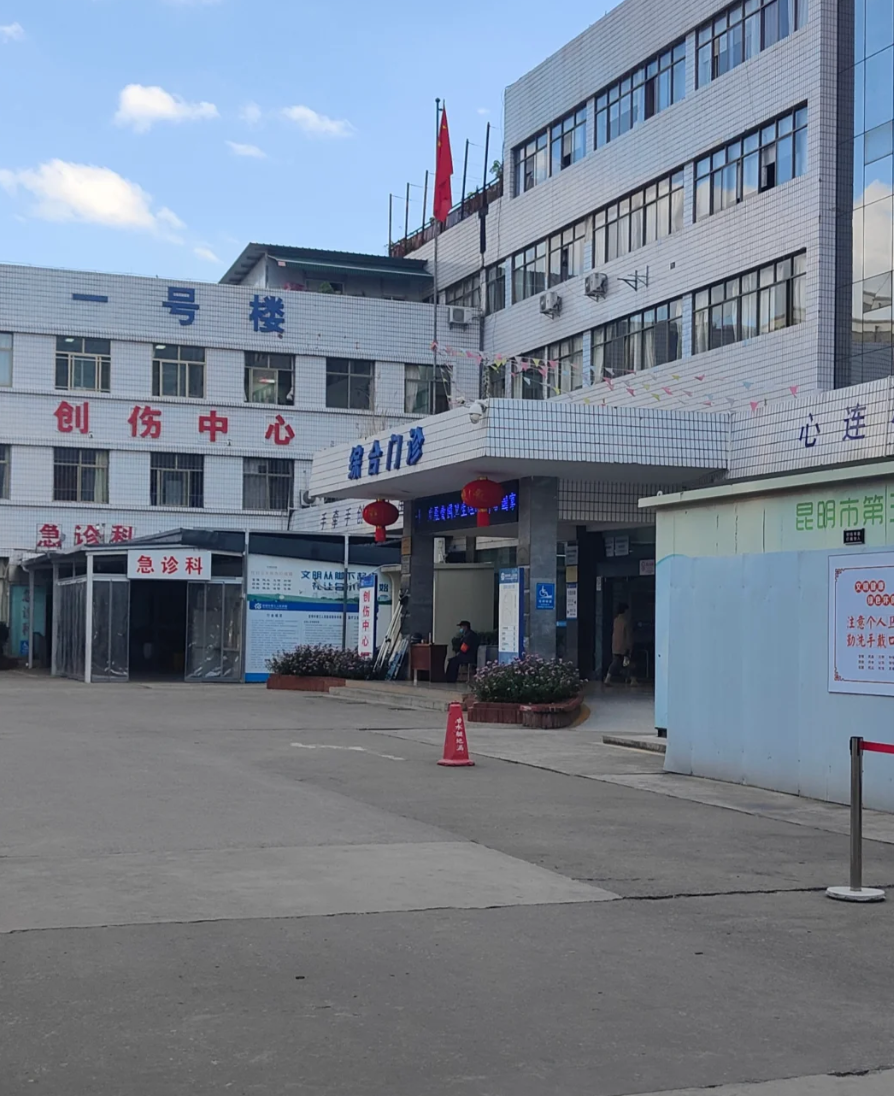 安顺找人代替抽血昆明入职体检服务-第1张图片-代解忧