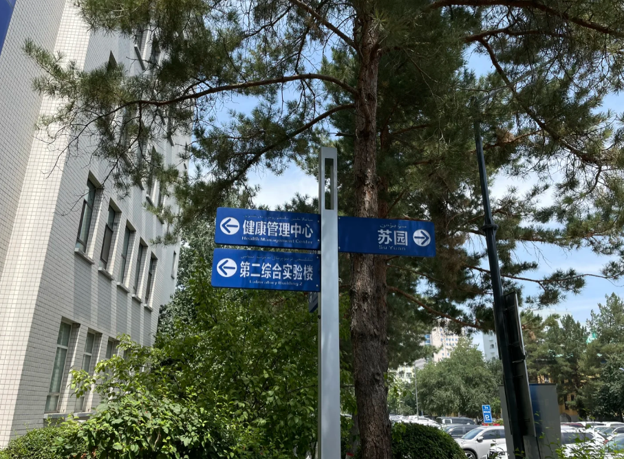 安顺找人代替抽血乌鲁木齐入职体检服务-第1张图片-代解忧