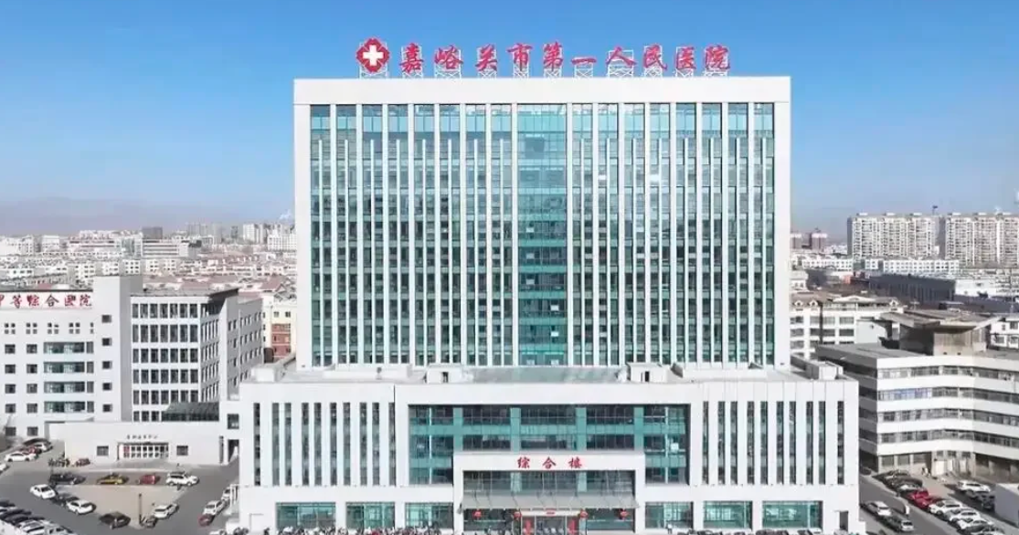 安顺找人代替抽血嘉峪关入职体检服务-第1张图片-代解忧
