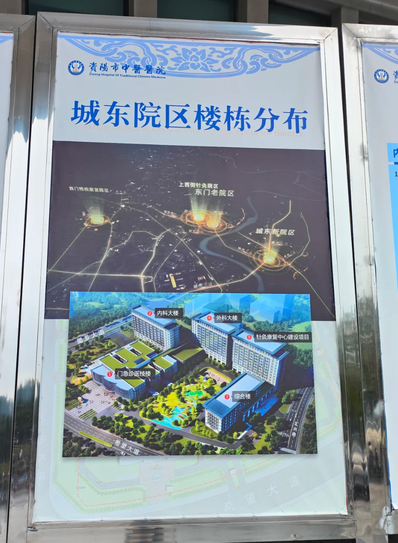 安顺找人代替抽血资阳入职体检服务-第1张图片-代解忧